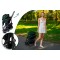 Carucior copii Little Rider Siena Culoare Verde, pliabil, ușor, compact Certificare Siguranta